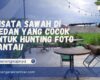 Wisata Sawah Di Medan