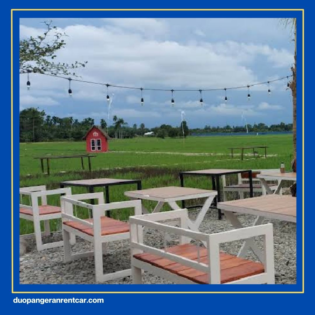 Wisata Sawah Di Medan