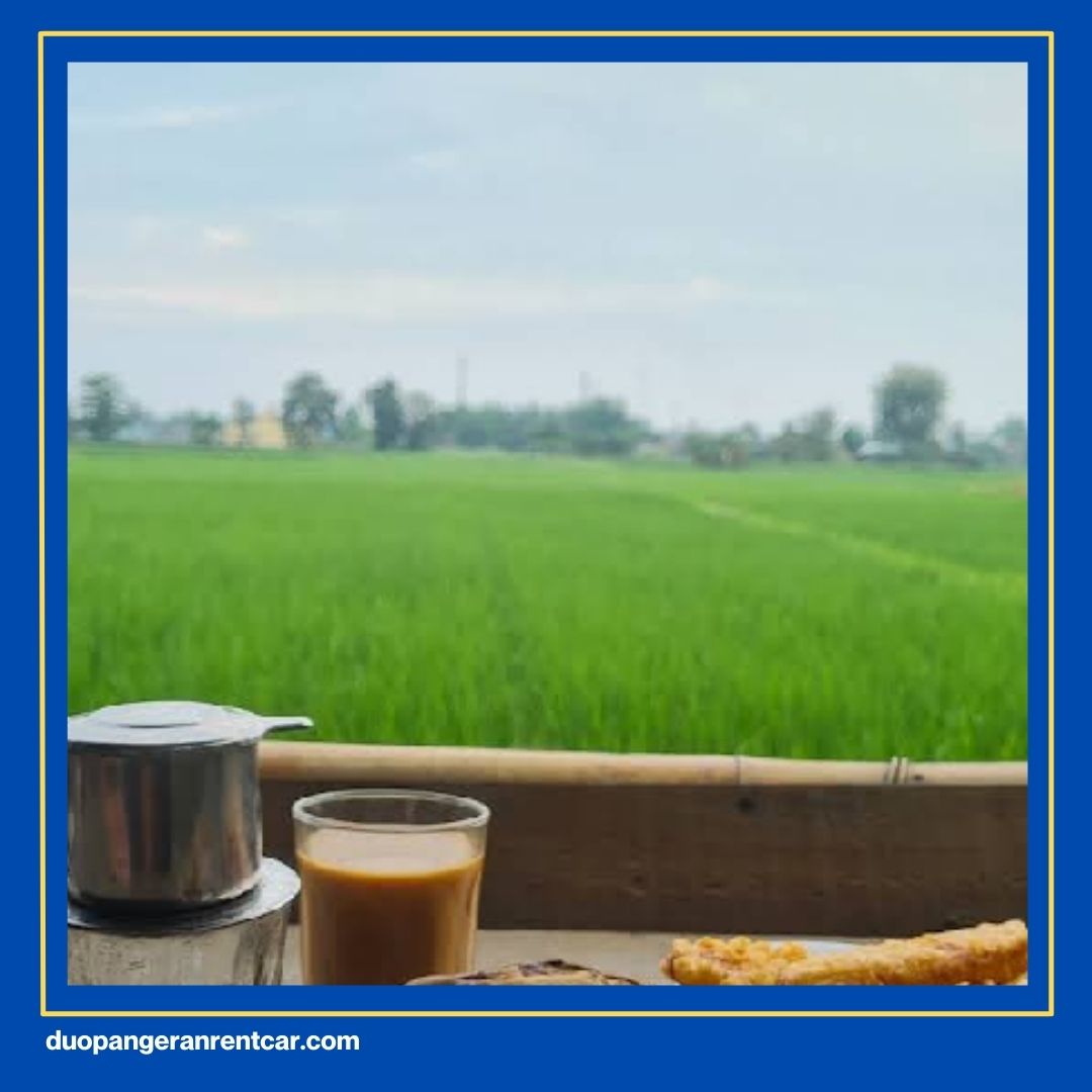 Wisata Sawah Di Medan