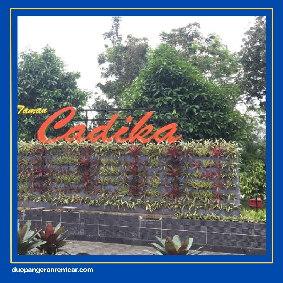 Wisata Malam di Medan