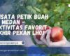 Wisata Petik Buah Di Medan